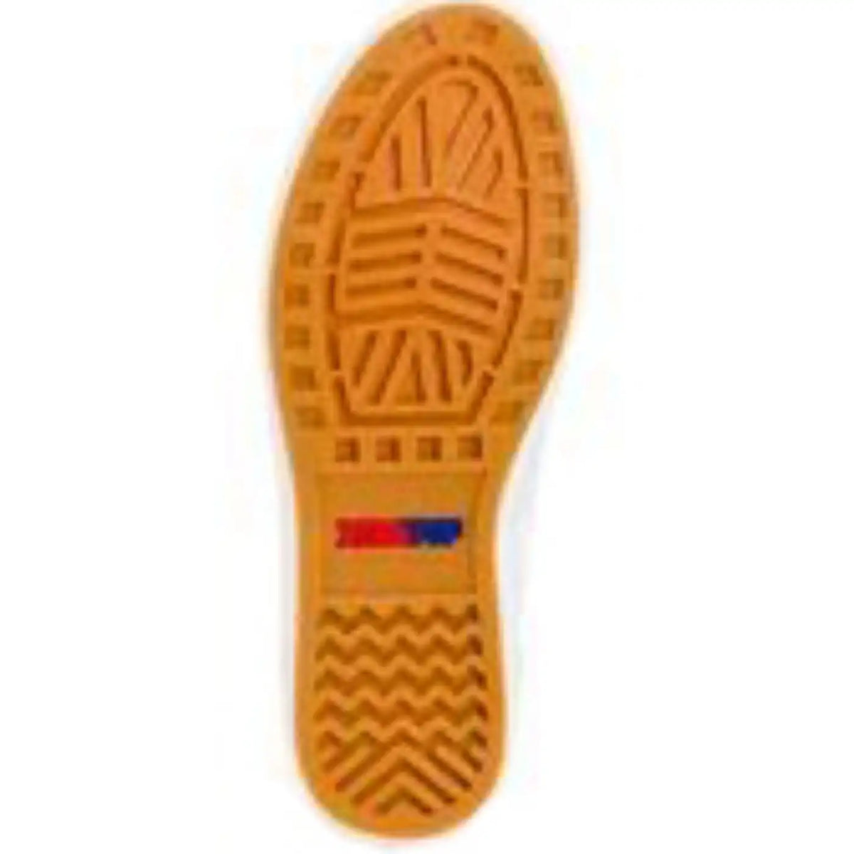 Women's Canvas Sharkbyte Deck Shoe